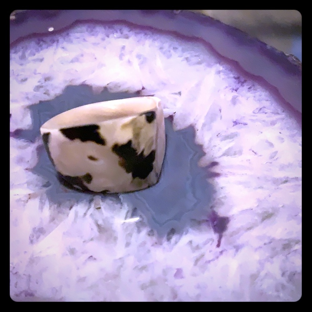 Fabulous shell ring